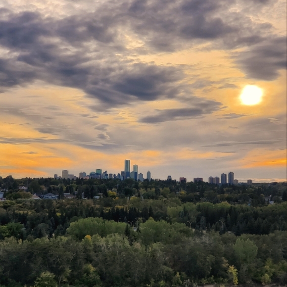 Meet your Posher, Favia - Picture 1 of 1